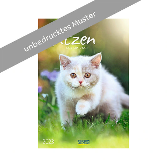 Katzen MUSTER
