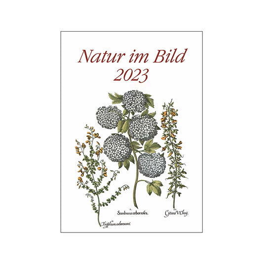 Natur im Bild
